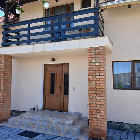 Casa Loredana Cîrţişoara Exterior foto
