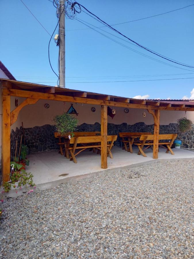 Casa Loredana Cîrţişoara Exterior foto