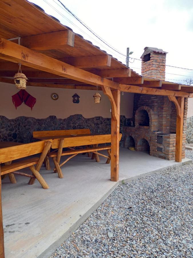 Casa Loredana Cîrţişoara Exterior foto